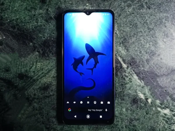 PHONE